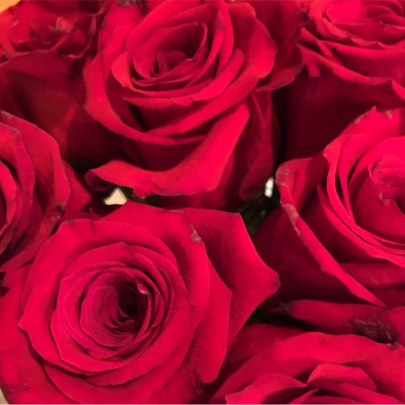 Meet your Posher - Picture 1 of 1